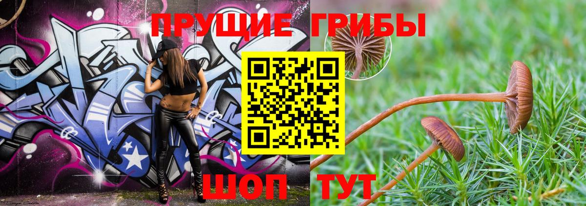 Псилоцибиновые грибы MAGIC MUSHROOMS  Псилоцибиновые грибы Cubensis  Альметьевск 