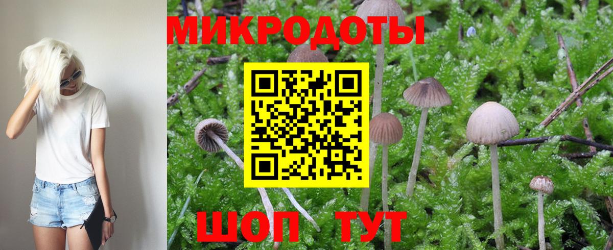 Псилоцибиновые грибы мухоморы Альметьевск