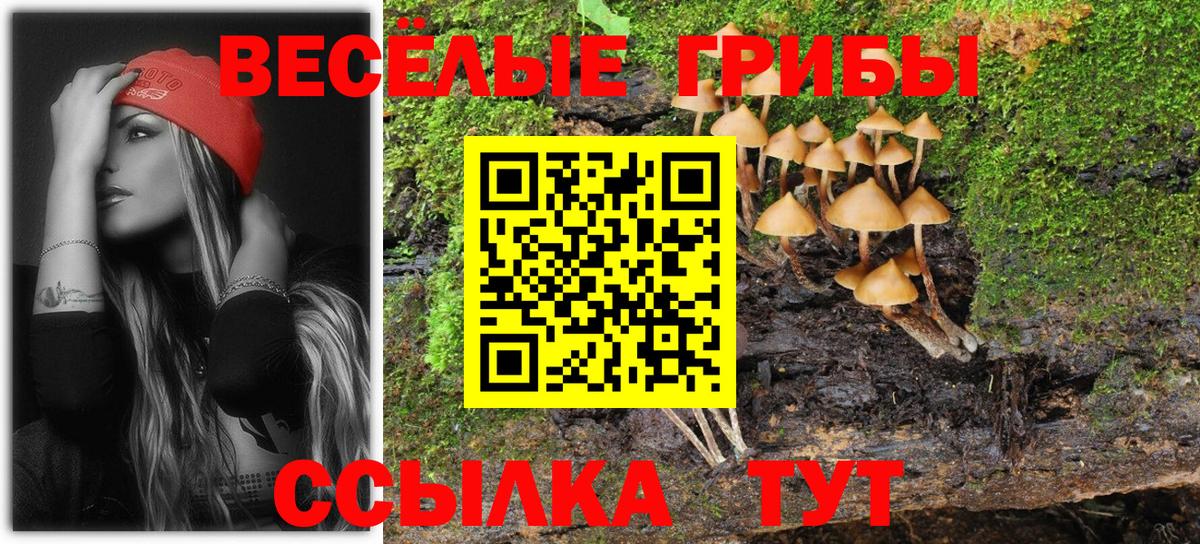 Псилоцибиновые грибы Magic Shrooms Альметьевск